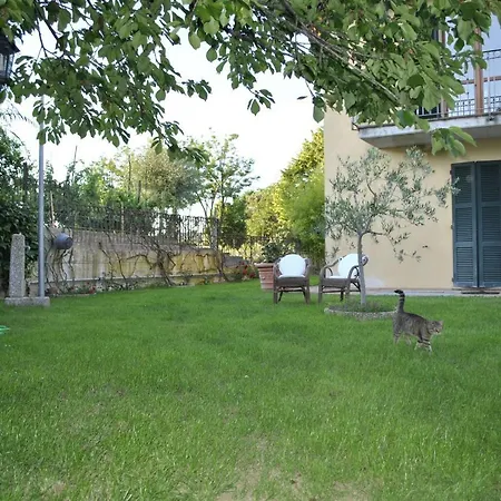 Gelsomino Colle (Terni)